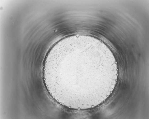 X0000086980856200704231817