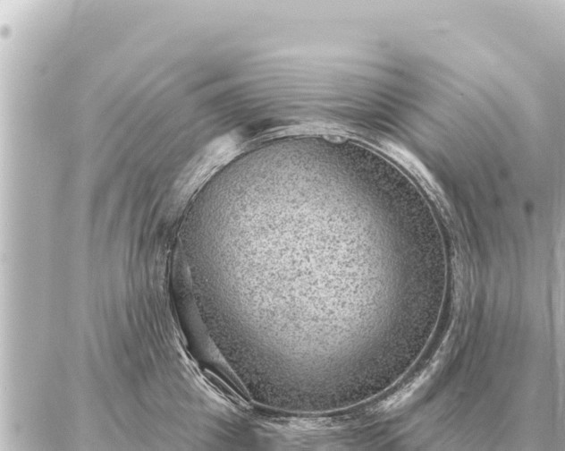 X0000086980857200704231818