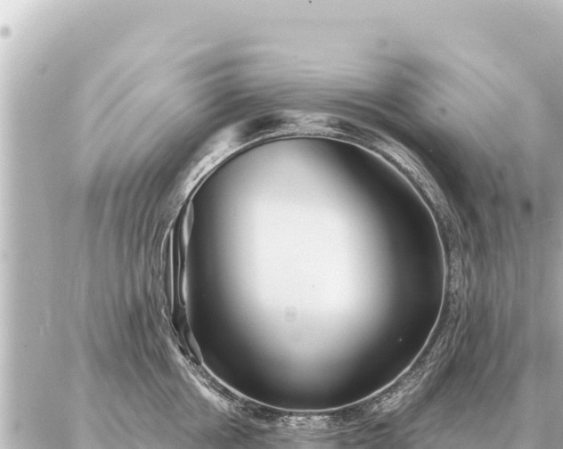 X0000086980858200704231818