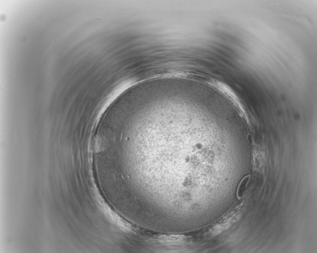 X0000086980859200704231818