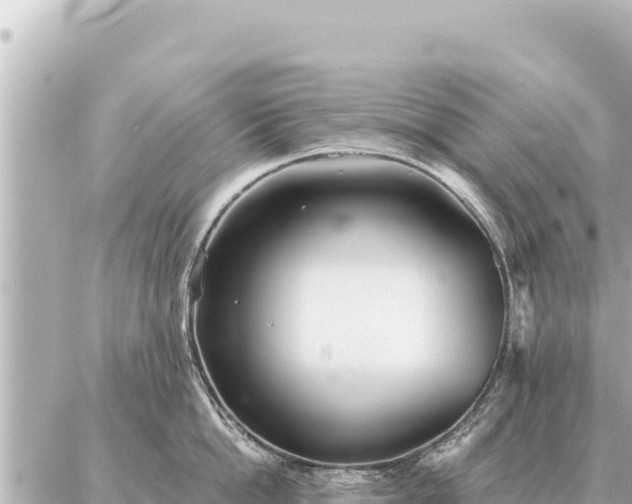 X0000086980862200704231818