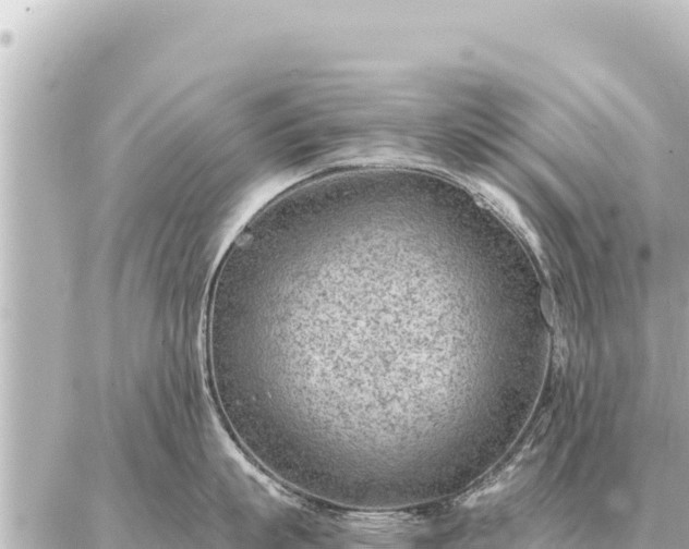 X0000086980863200704231818