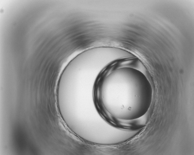 X0000086980864200704231818