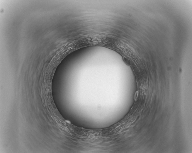 X0000086980865200704231817