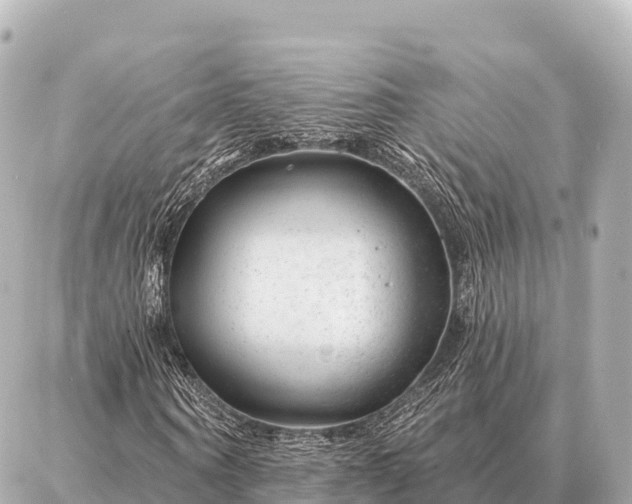 X0000086980866200704231817