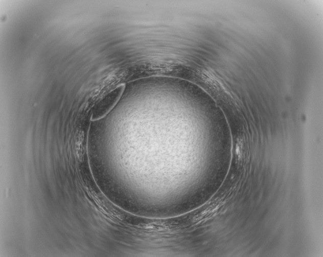 X0000086980867200704231817