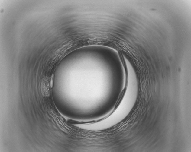 X0000086980868200704231817