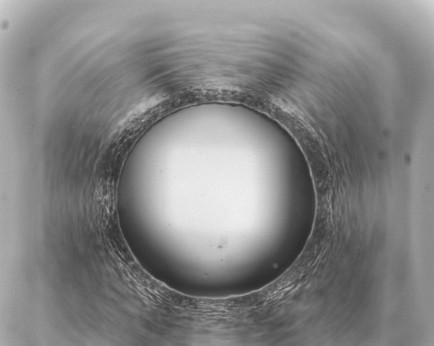 X0000086980870200704231817