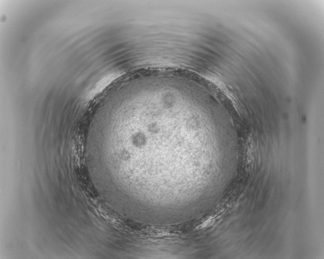 X0000086980871200704231817