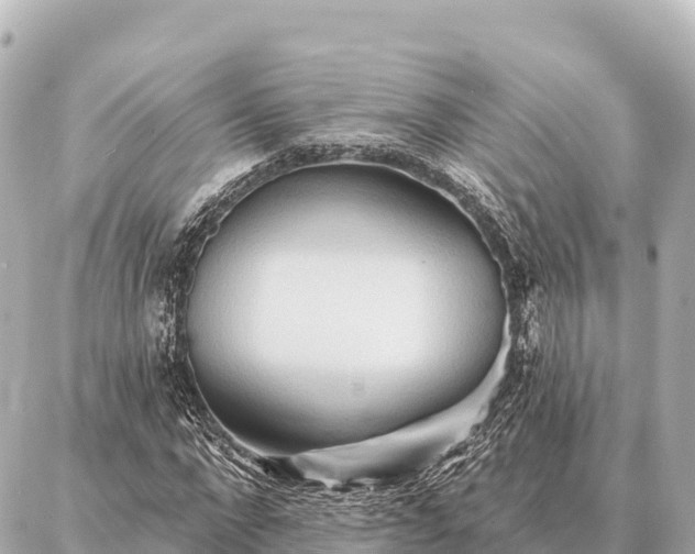 X0000086980872200704231817