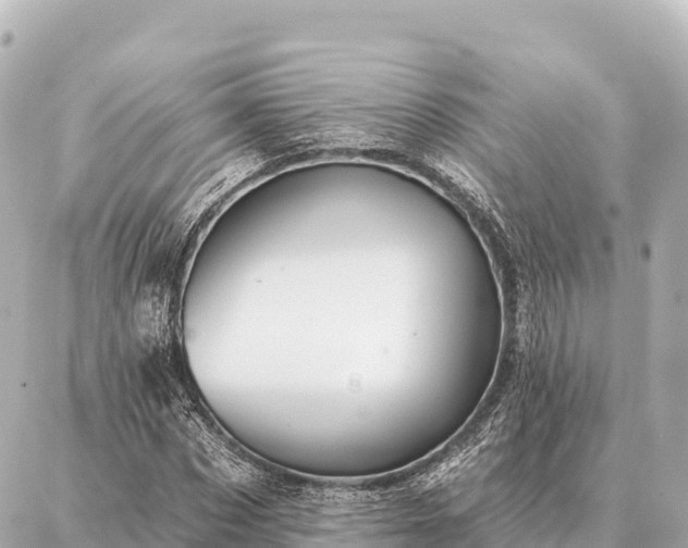 X0000086980873200704231817