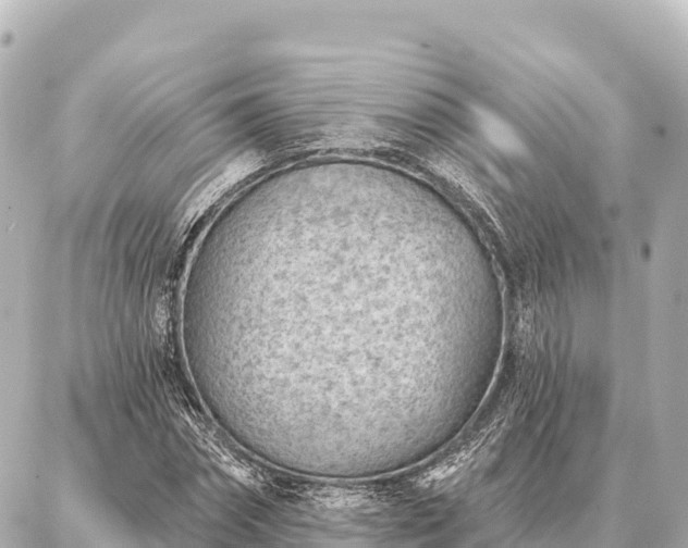 X0000086980874200704231817