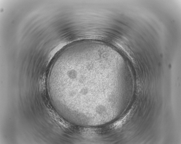 X0000086980875200704231817