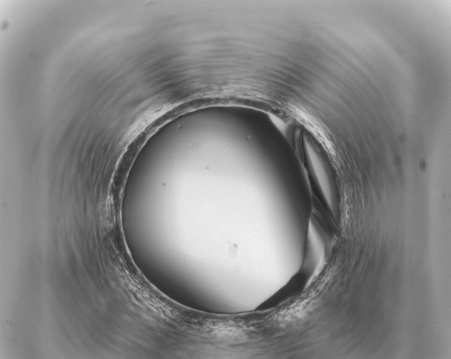 X0000086980876200704231817