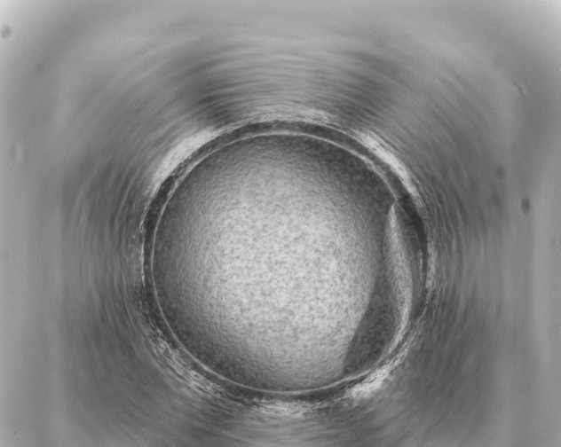 X0000086980877200704231817