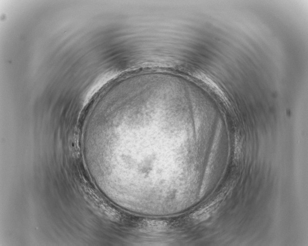 X0000086980878200704231817