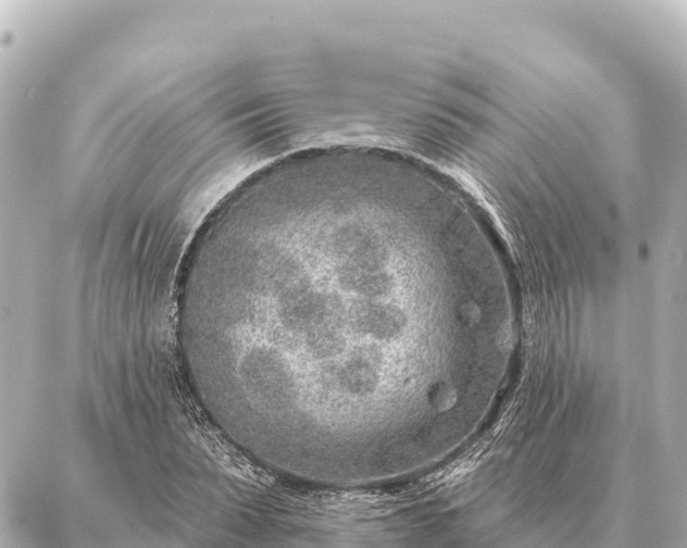 X0000086980879200704231817