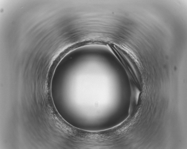 X0000086980880200704231817