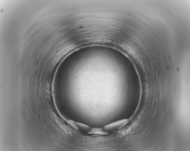 X0000086980881200704231817