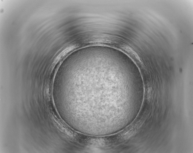 X0000086980882200704231817