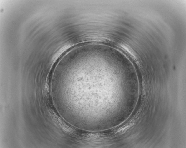 X0000086980883200704231817