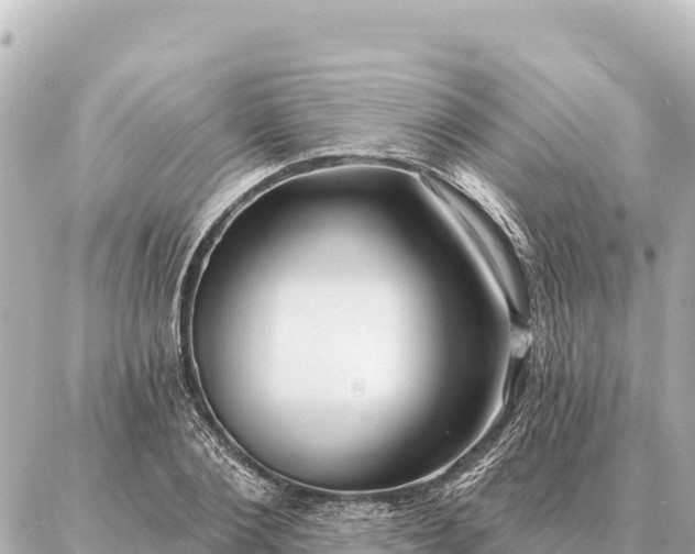 X0000086980884200704231817