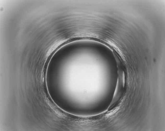 X0000086980885200704231817