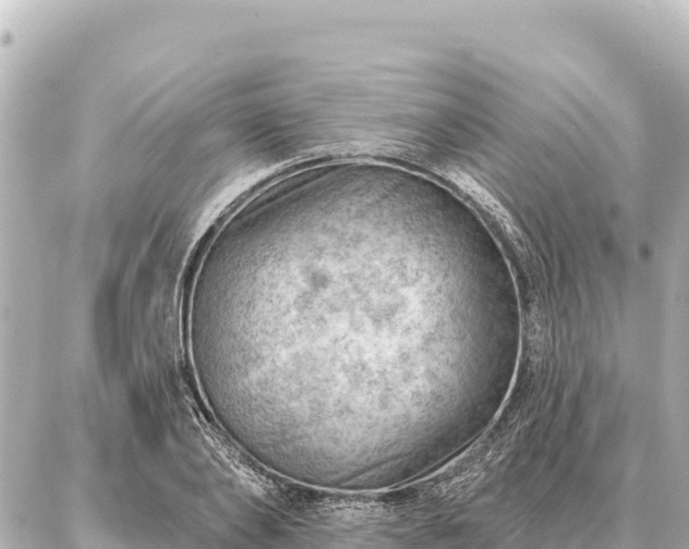 X0000086980886200704231817