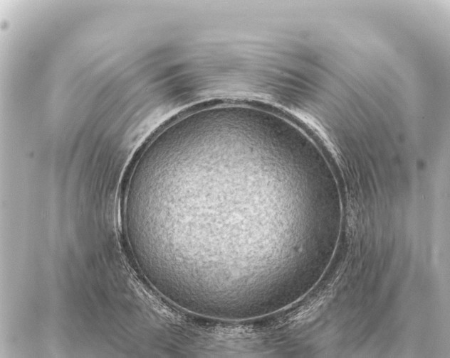 X0000086980887200704231816