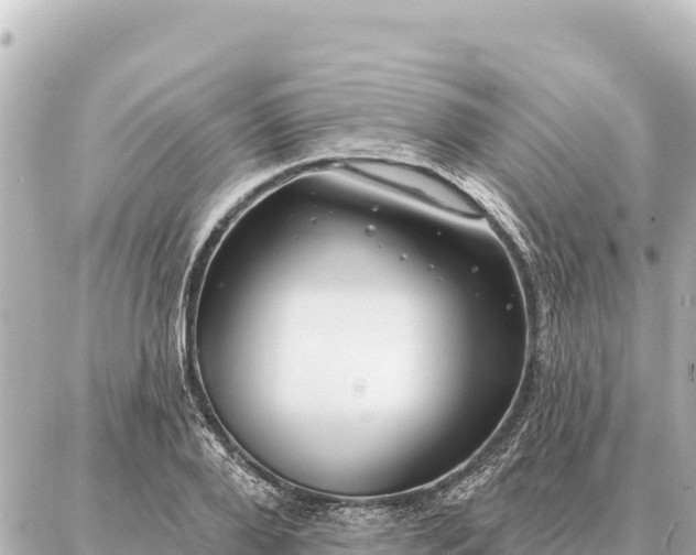 X0000086980888200704231816