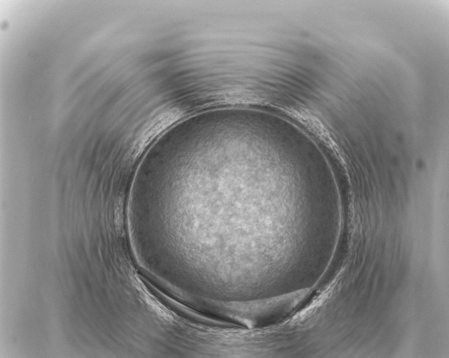 X0000086980889200704231816