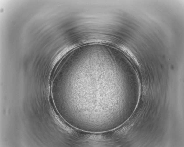 X0000086980890200704231816