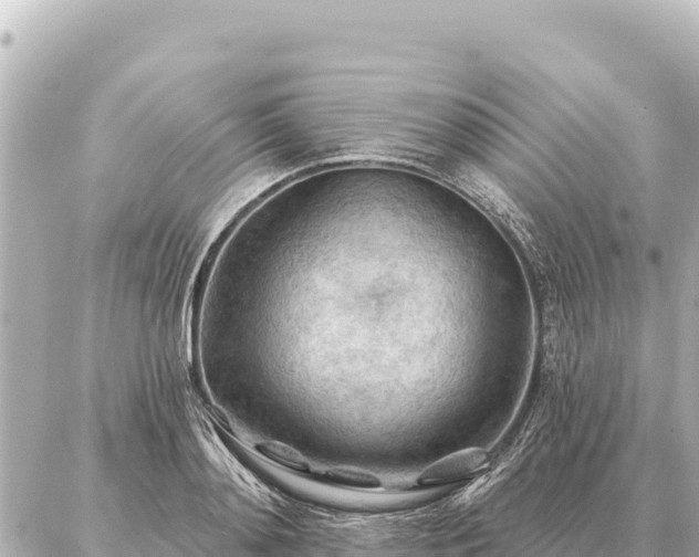 X0000086980892200704231816