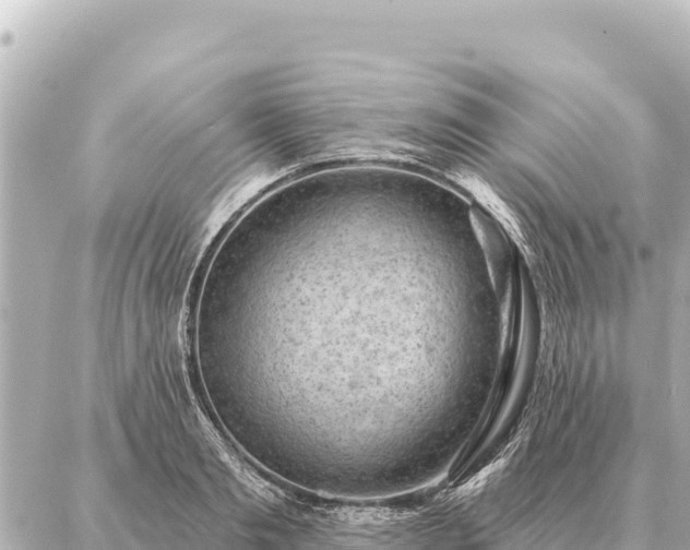 X0000086980893200704231816