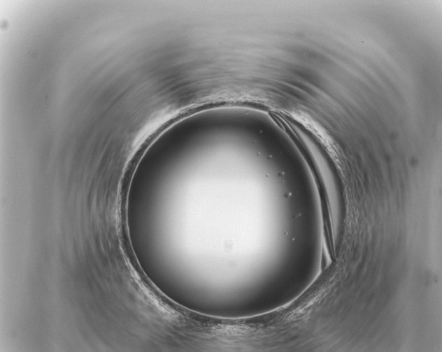 X0000086980894200704231816