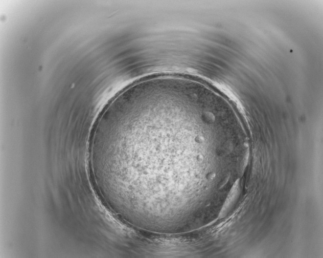 X0000086980895200704231816