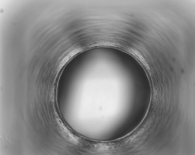 X0000086980898200704231816