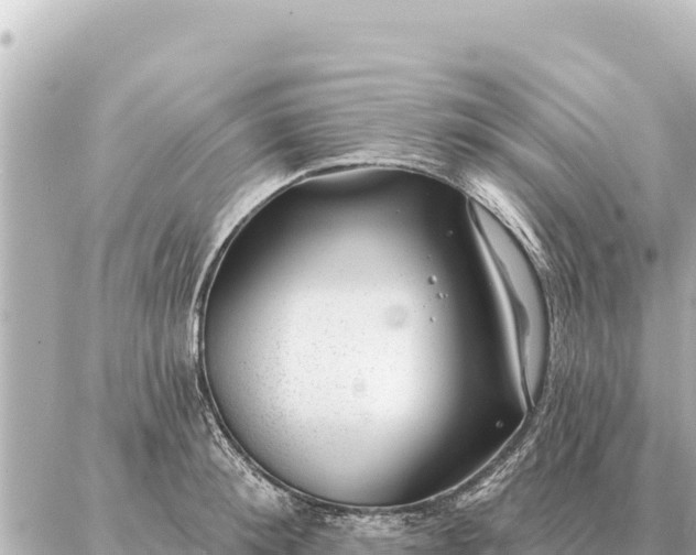 X0000086980900200704231816