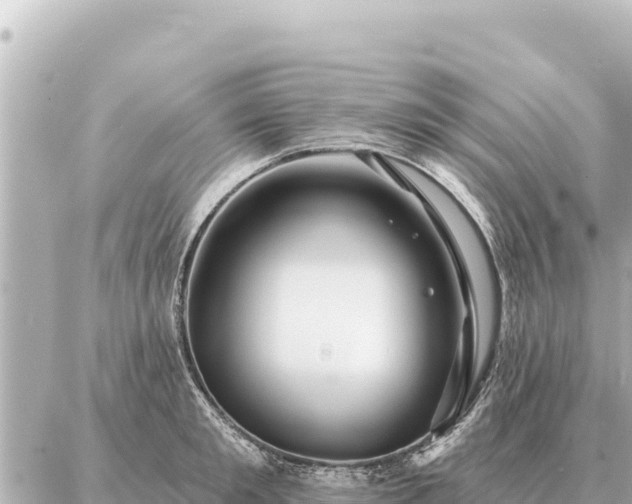 X0000086980901200704231816