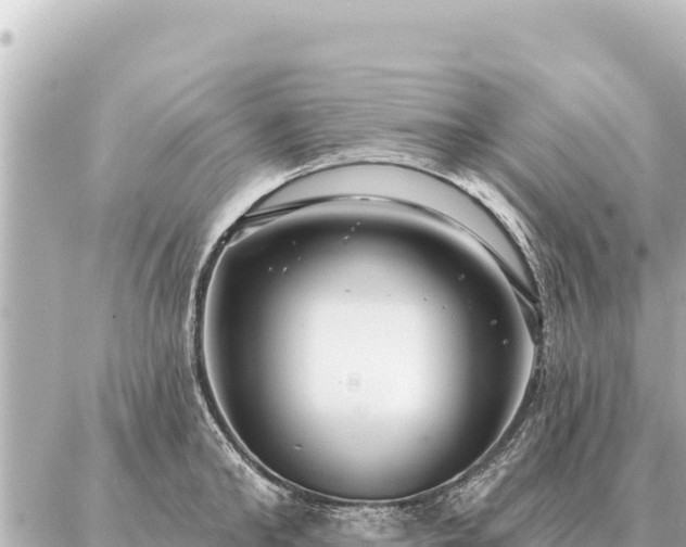 X0000086980902200704231816