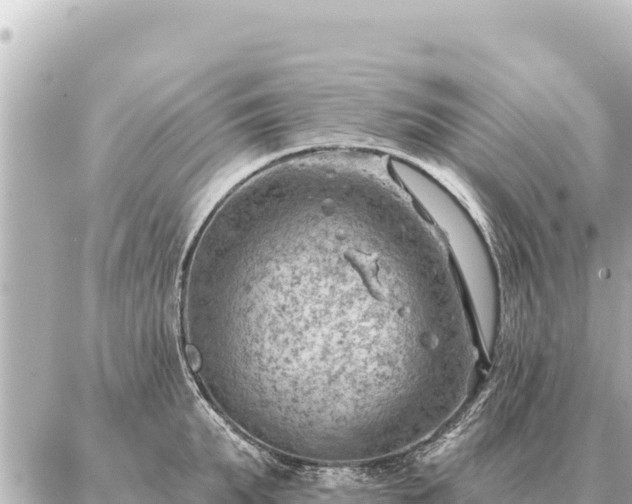 X0000086980903200704231816