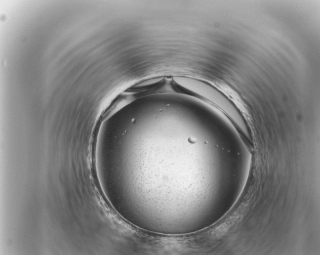 X0000086980904200704231816