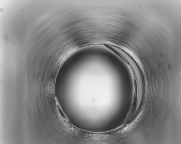 X0000086980905200704231816