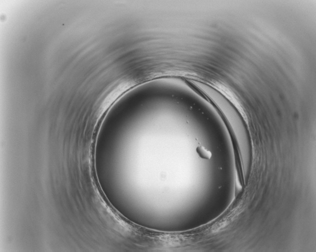 X0000086980906200704231816