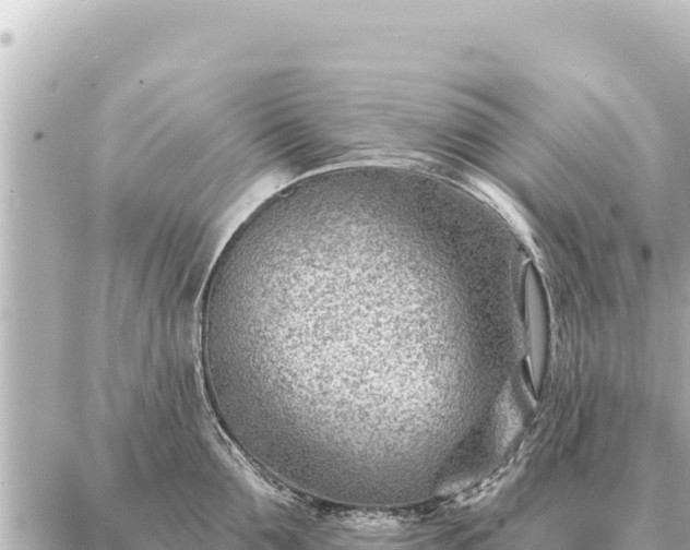 X0000086980907200704231816