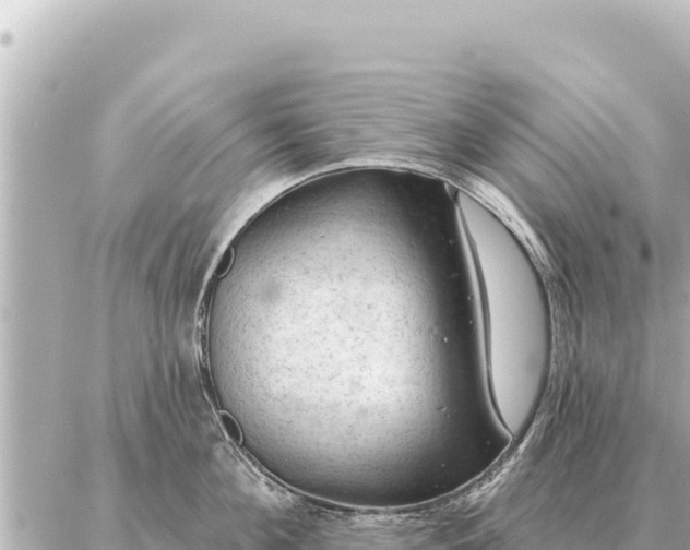 X0000086980908200704231816