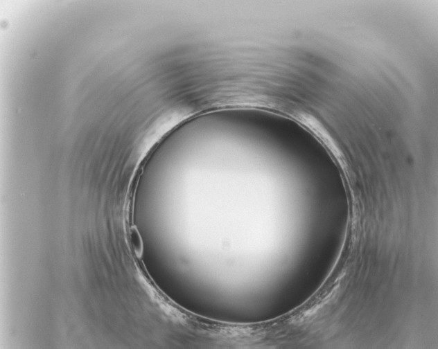 X0000086980909200704231816