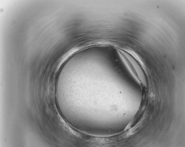 X0000086980910200704231816