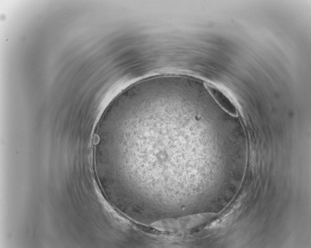 X0000086980911200704231816