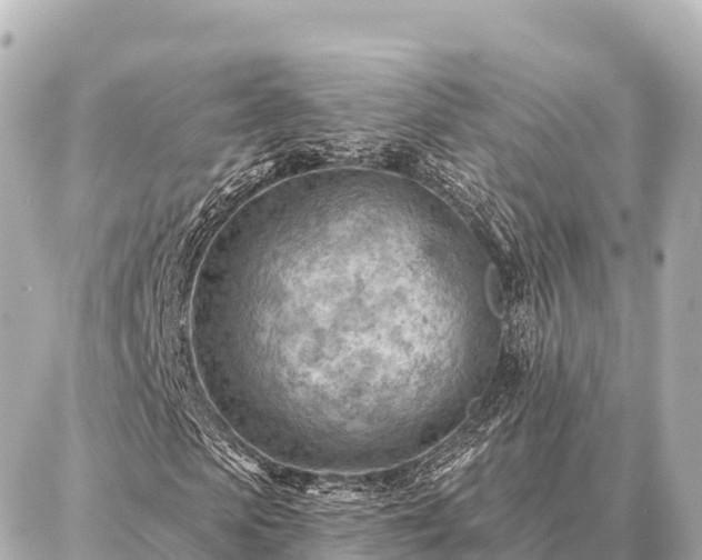 X0000086980913200704231815